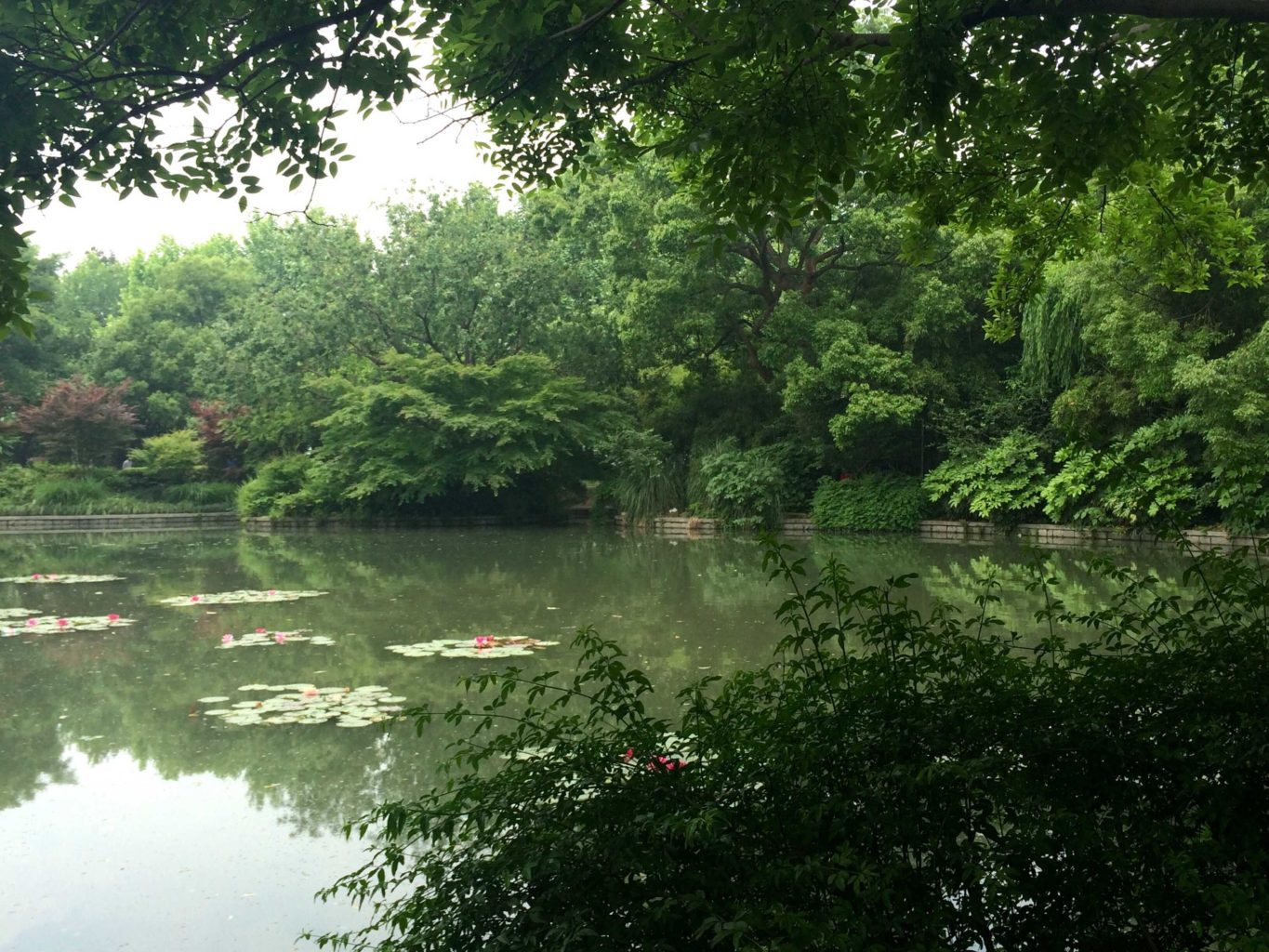 Botanical garden Hangzhou