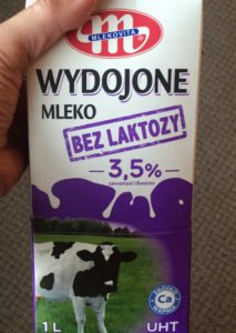 LavFODMAP på reise polsk ordliste 