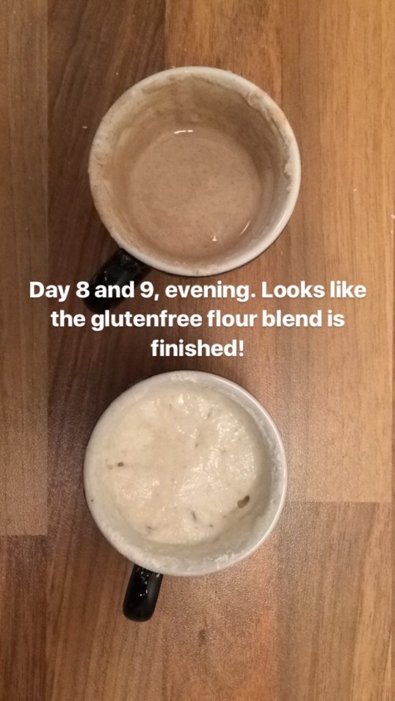 LavFODMAP glutenfri bakst med surdeig